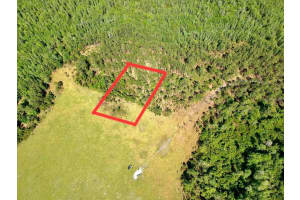 Deen Still Rd E Rd E #lot B-178, POLK CITY