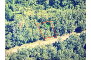 781 E Byrd Loop, DUNNELLON 781 E Byrd Loop, DUNNELLON