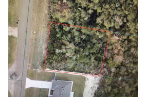 Marion Oaks Dr, OCALA