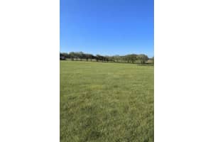 Tbd Sw 6 Ln, DUNNELLON