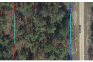 Lot 10 Se 136th Ave, DUNNELLON