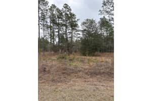 1159 Nw Redwood Dr, DUNNELLON