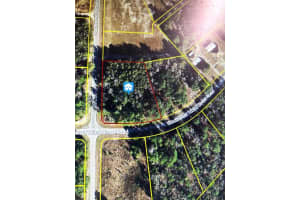 0 Sw 163rd Street Rd, OCALA