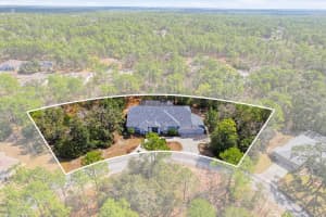 16 Drypetes Ct E, HOMOSASSA