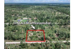 3341 & 3343 Pheasant Ave, LAKE PLACID