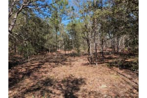 Sw 81st St, DUNNELLON