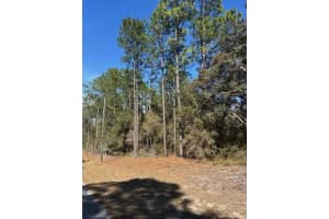 Tba Sw 207 Ct #4, DUNNELLON