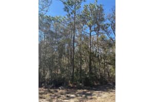 Tba Se 131st Ter, DUNNELLON