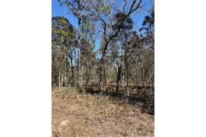 Tba Se 135th Ct, DUNNELLON