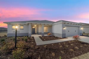 10650 Sw 101st Lane Rd, OCALA