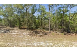 00 Sw Rainbow Lakes Blvd, DUNNELLON