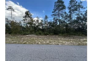 8385 N Farrington Dr, CITRUS SPRINGS