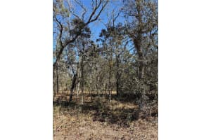 Tba Se 134th Terrace Ter, DUNNELLON Tba Se 134th Terrace Ter, DUNNELLON