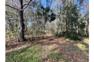 Tbd Se 40th Loop, OCALA