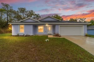 2349 W Juan Vega Ln, DUNNELLON