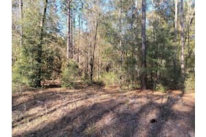 00 Sw 133rd Ct, OCALA