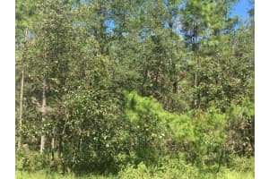 45th Terrace Rd, OCALA