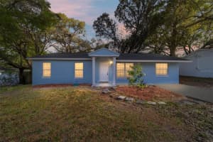 2216 Ne 38th St, OCALA 2216 Ne 38th St, OCALA