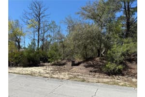 10762 N Moreno Dr, DUNNELLON 10762 N Moreno Dr, DUNNELLON