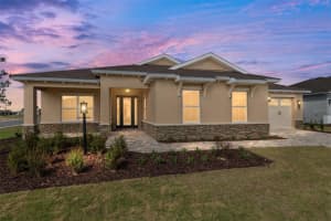 10161 Sw 82nd Place Rd, OCALA