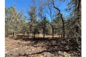 0000 Sw Hillcrest Ave, DUNNELLON