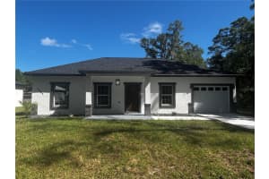 4005 Se 142nd Ln, SUMMERFIELD