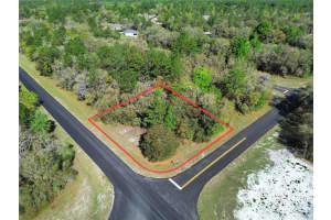 Tbd Sw 146th Lane Road, OCALA Tbd Sw 146th Lane Road, OCALA