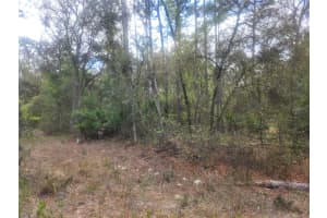 7446 Sw 151st Pl, DUNNELLON