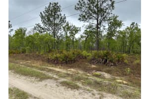 Sw 95th Pl, DUNNELLON