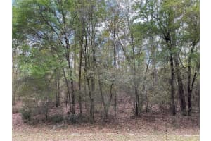 Sw 208th Cir, DUNNELLON