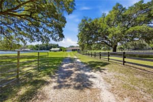 9690 Nw 30th Ave, OCALA