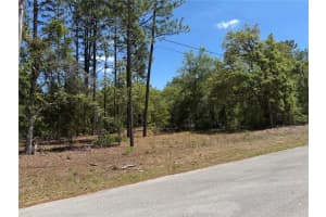 Lot 2 Sw 206 Ave, DUNNELLON Lot 2 Sw 206 Ave, DUNNELLON
