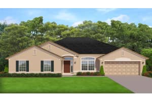 12598 Sw 73rd St, OCALA