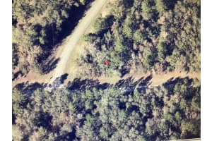 0 Sw 145 Place Rd, OCALA