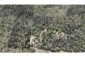 16840 Jozach Dr, NAPLES 16840 Jozach Dr, NAPLES