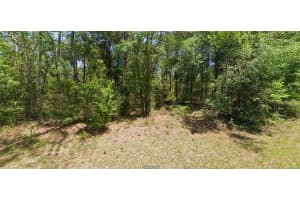 Nw Buena Vista Rd, DUNNELLON