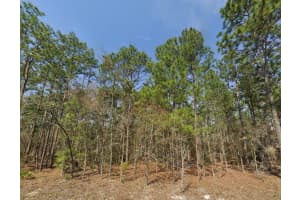 Tbd (lot 12) Sw 128th Terrace Rd, OCALA