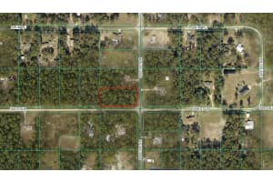 Sw 134th Ter, OCALA Sw 134th Ter, OCALA