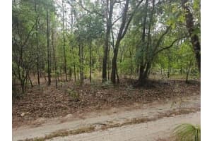 00 Sw 90 St, DUNNELLON