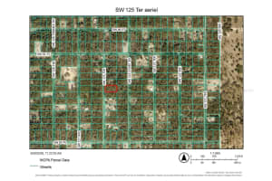 0 Sw 125 Ter, DUNNELLON