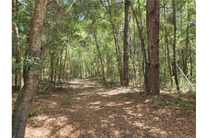 11953 N Glenview Ave, DUNNELLON