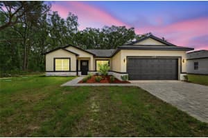16475 Se 89th Ter, SUMMERFIELD