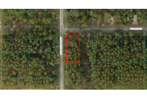 Tbd Lot 13 Sw South Ct, DUNNELLON