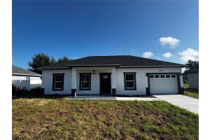 10311 Se 125th Ln, BELLEVIEW