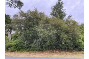 Sw 165th Pl, OCALA