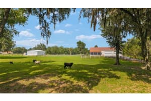2035 Nw 150th Ave, OCALA 2035 Nw 150th Ave, OCALA