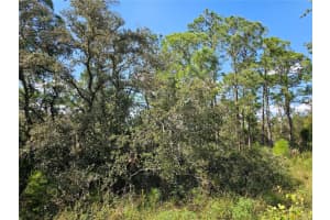 7105 Orchid Pl, SEBRING
