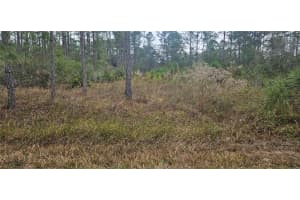 408 Pandora Dr, INDIAN LAKE ESTATES