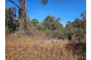 406 Hollow Ln, LAKE PLACID