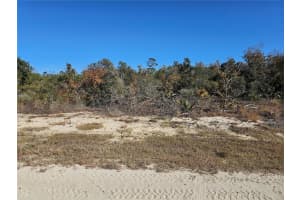 680 Morningside Dr, LAKE PLACID